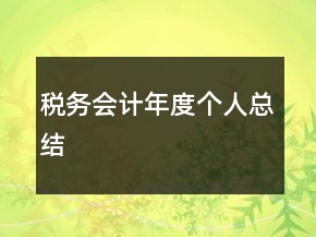 稅務(wù)會計年度個人總結(jié)