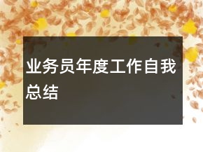 業(yè)務(wù)員年度工作自我總結(jié)