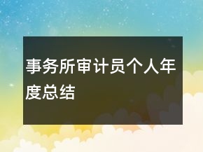 事務(wù)所審計員個人年度總結(jié)