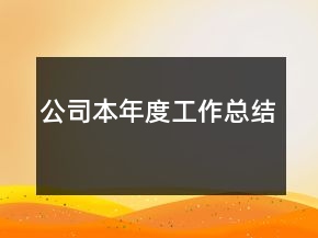 公司本年度工作總結(jié)