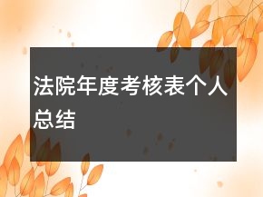 法院年度考核表個人總結