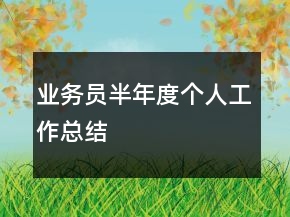 業(yè)務(wù)員半年度個(gè)人工作總結(jié)