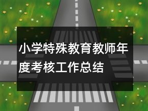 小學(xué)特殊教育教師年度考核工作總結(jié)