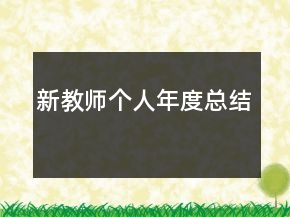 新教師個人年度總結(jié)