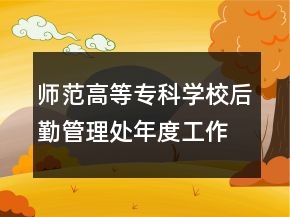 師范高等專科學(xué)校后勤管理處年度工作總結(jié)