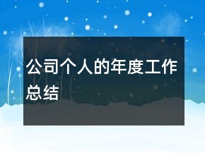 公司個人的年度工作總結(jié)