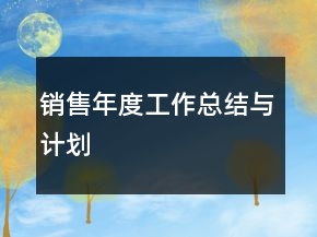 銷售年度工作總結(jié)與計劃