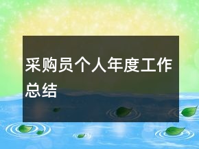 采購員個人年度工作總結(jié)