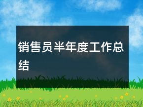 銷售員半年度工作總結(jié)