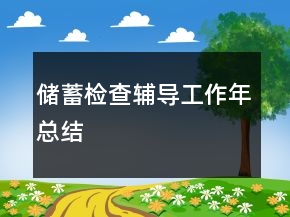 儲蓄檢查輔導工作年總結
