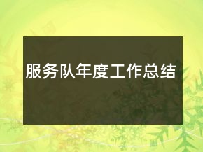 服務(wù)隊(duì)年度工作總結(jié)
