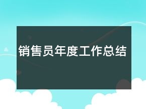 銷(xiāo)售員年度工作總結(jié)