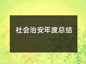 社會治安年度總結(jié)
