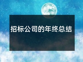 招標公司的年終總結(jié)