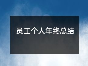 員工個(gè)人年終總結(jié)