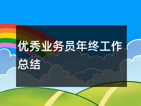 優(yōu)秀業(yè)務(wù)員年終工作總結(jié)