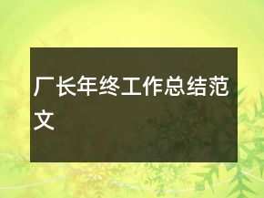 廠長(zhǎng)年終工作總結(jié)范文