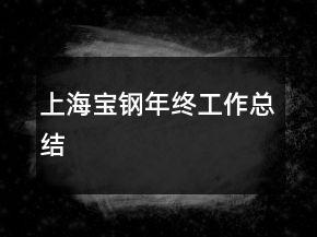 上海寶鋼年終工作總結(jié)