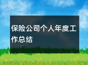 保險(xiǎn)公司個(gè)人年度工作總結(jié)