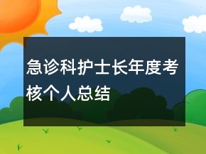 急診科護士長年度考核個人總結