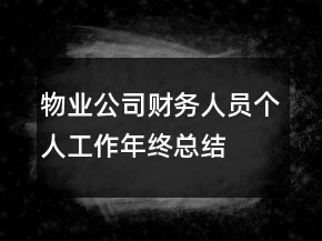 物業(yè)公司財(cái)務(wù)人員個(gè)人工作年終總結(jié)