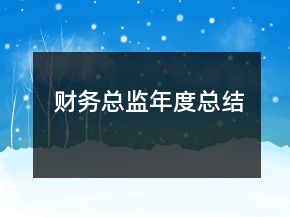 財務(wù)總監(jiān)年度總結(jié)