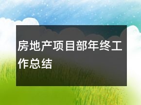 房地產(chǎn)項(xiàng)目部年終工作總結(jié)