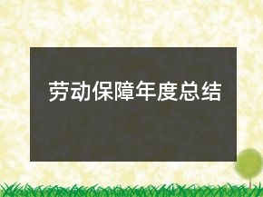 勞動保障年度總結