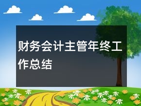 財(cái)務(wù)會計(jì)主管年終工作總結(jié)