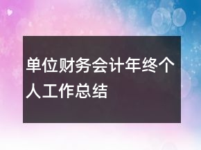 單位財(cái)務(wù)會(huì)計(jì)年終個(gè)人工作總結(jié)