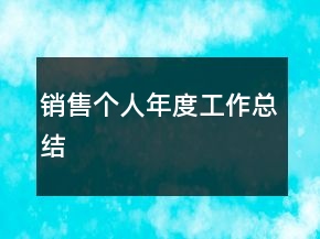 銷售個(gè)人年度工作總結(jié)