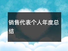 銷(xiāo)售代表個(gè)人年度總結(jié)