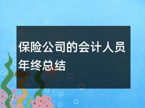 保險(xiǎn)公司的會(huì)計(jì)人員年終總結(jié)