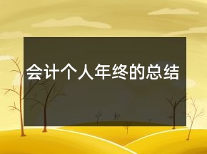 會(huì)計(jì)個(gè)人年終的總結(jié)