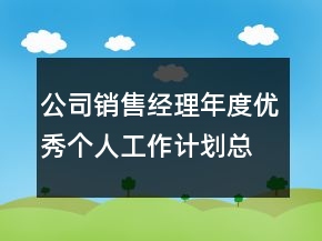 公司銷售經(jīng)理年度優(yōu)秀個人工作計劃總結(jié)