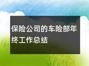 保險(xiǎn)公司的車險(xiǎn)部年終工作總結(jié)