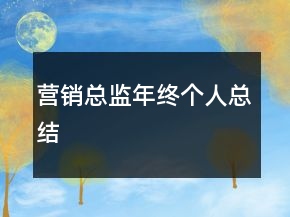 營(yíng)銷(xiāo)總監(jiān)年終個(gè)人總結(jié)
