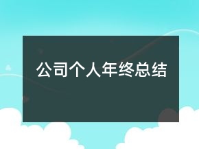 公司個(gè)人年終總結(jié)