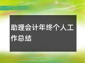 助理會(huì)計(jì)年終個(gè)人工作總結(jié)
