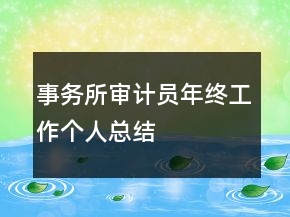 事務所審計員年終工作個人總結