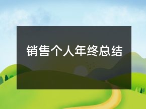 銷售個(gè)人年終總結(jié)