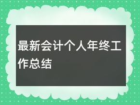 最新會(huì)計(jì)個(gè)人年終工作總結(jié)