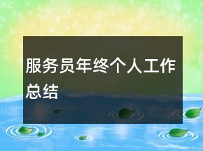 服務(wù)員年終個人工作總結(jié)