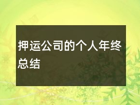 押運公司的個人年終總結(jié)