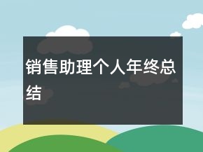 銷售助理個人年終總結(jié)