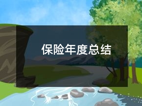 保險年度總結(jié)