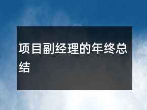 項目副經(jīng)理的年終總結(jié)