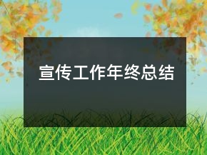 宣傳工作年終總結(jié)