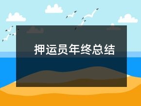 押運(yùn)員年終總結(jié)