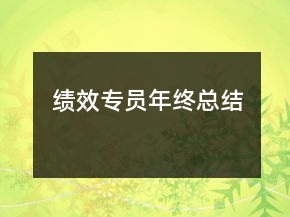 績效專員年終總結(jié)